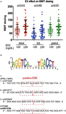 Add-On Selective Estrogen Receptor Modulators for Methadone Maintenance Treatment